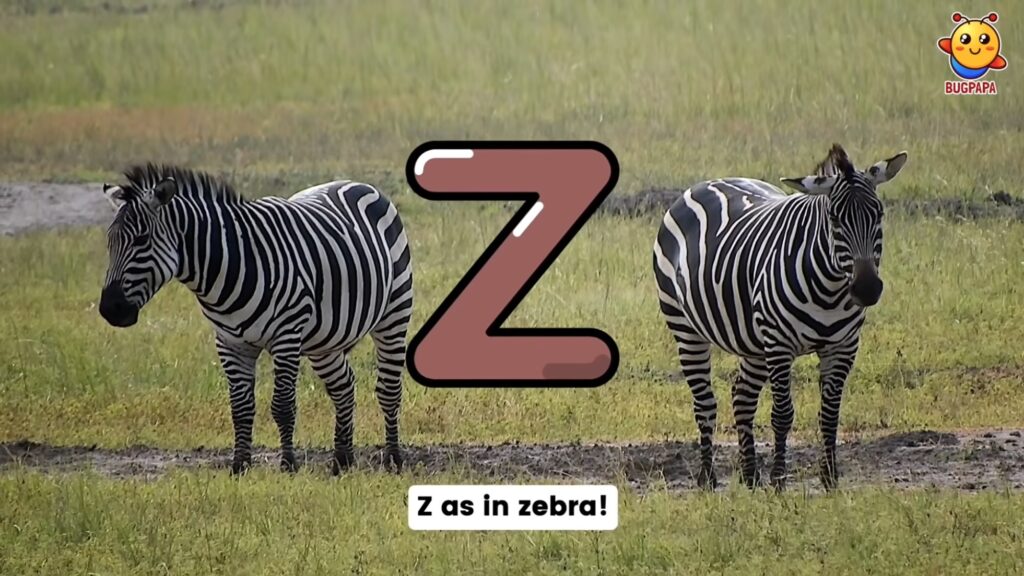 Z as In Zebra, ABC Phonics Song, ESL, Early Literacy